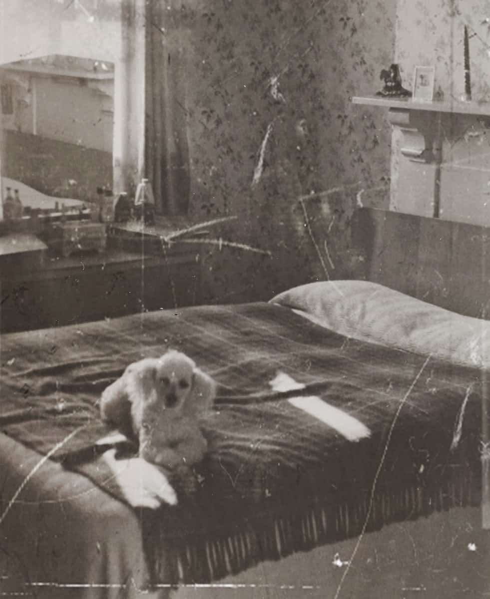 Vintage Photo Of A Dog Lying On The Bed